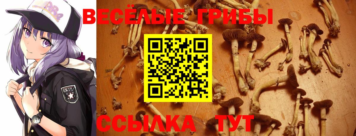 Псилоцибиновые грибы ЛСД  Галлюциногенные грибы MAGIC MUSHROOMS  Серпухов  Вход с VPN 